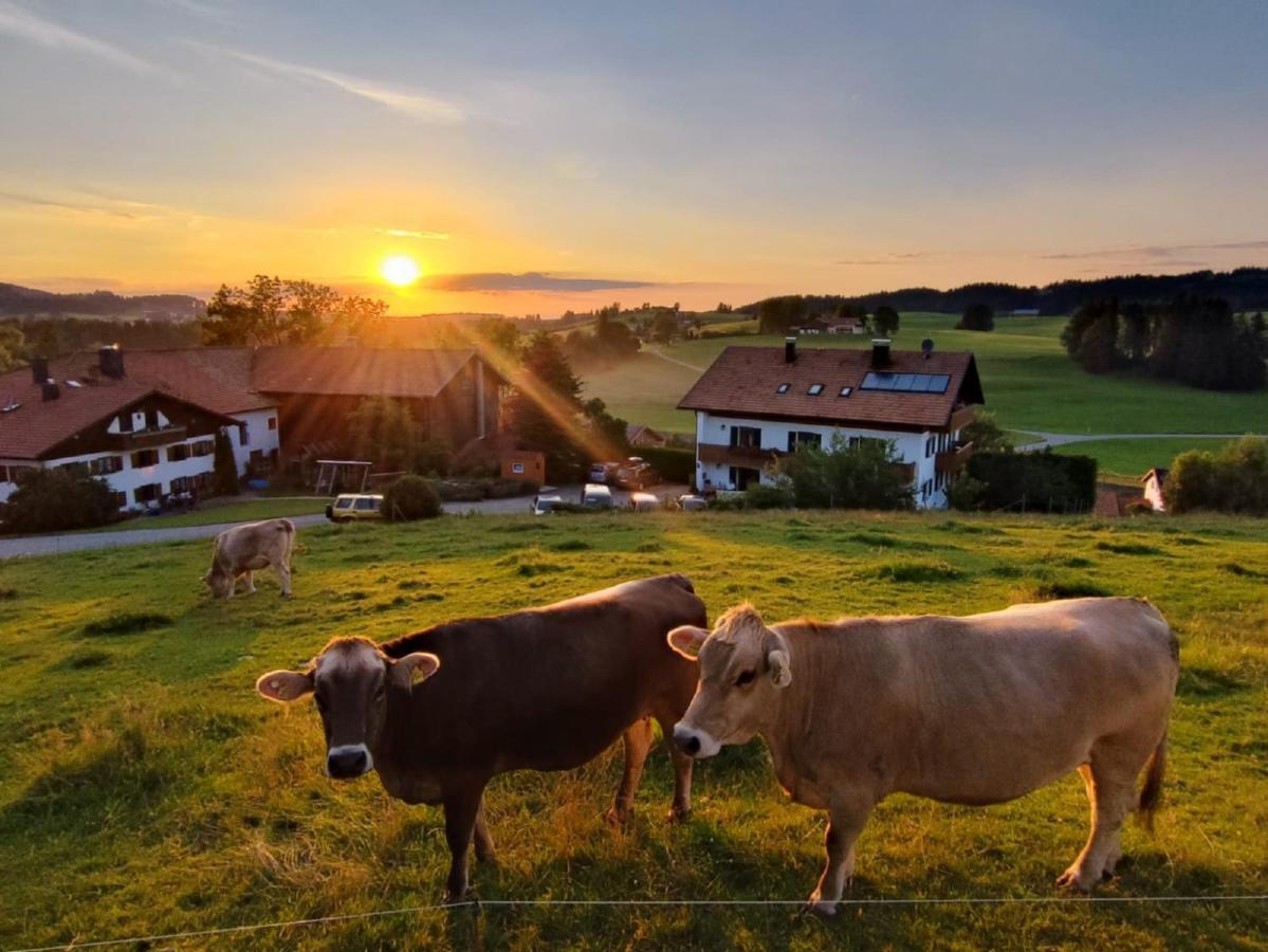 Ferienhof Hefele Appartamento Hopferau Esterno foto